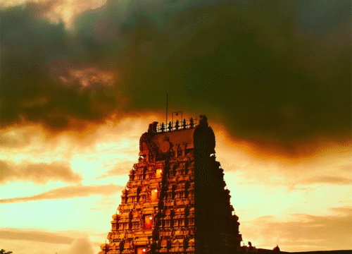 Splendid Kerala Hill Station Package 