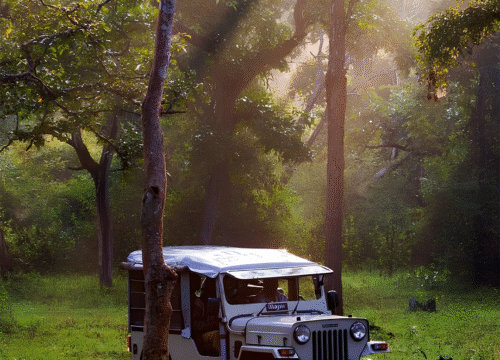 Peaceful Solo Journey