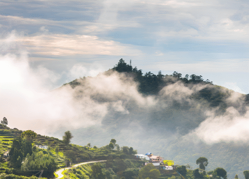 Finest Kerala Hill Station Package