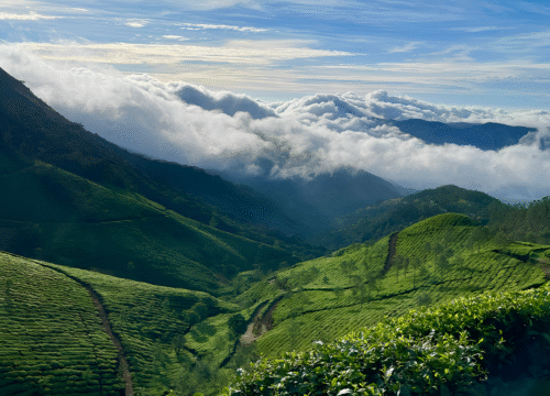 Kerala Family Scenic Escape Tour