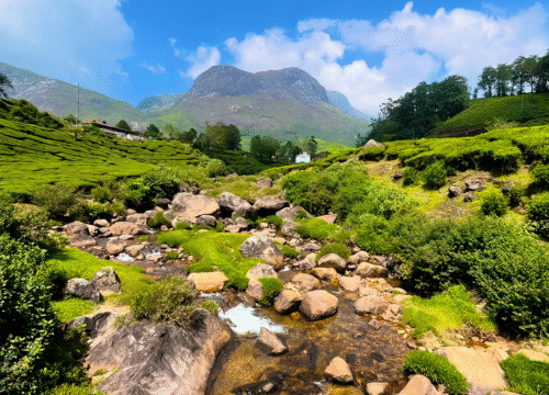 The Classic South India Tour