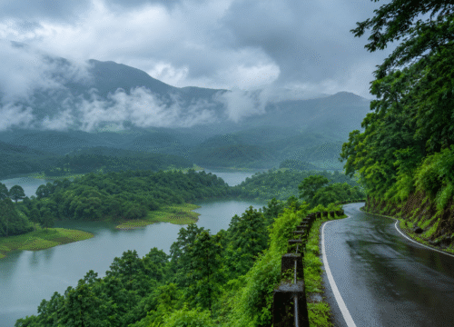 Monsoon Packages in Kerala